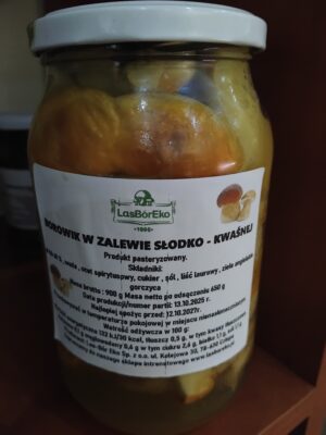 BOROWIK W ZALEWIE SŁODKO KWAŚNEJ